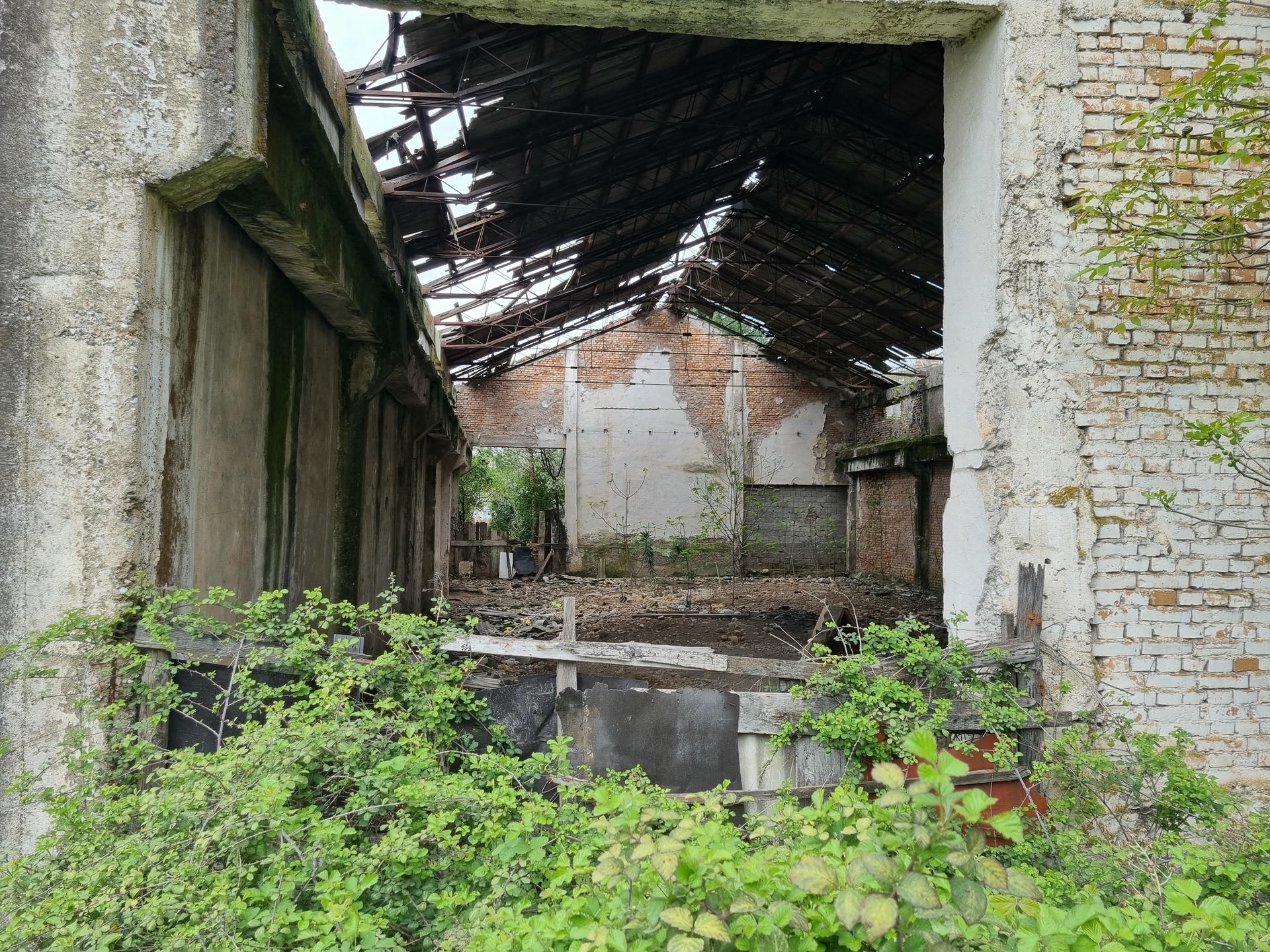 image-2